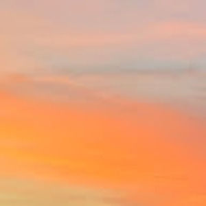 Meet your Posher, Sophia